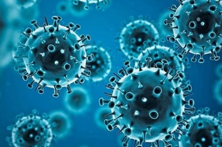 UK expert warns of pandemic worse than Covid in new book
