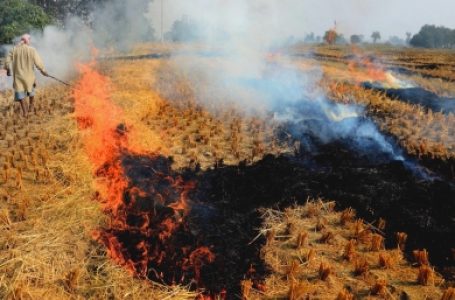 UP issues warning to stubble burning farmers