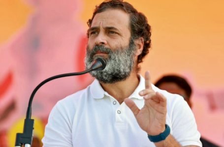 I am fighting for India’s voice, ready to pay any price: Rahul Gandhi