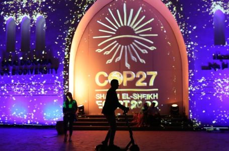 COP27: India joins 57 nations in long-term strategies for net-zero pathways