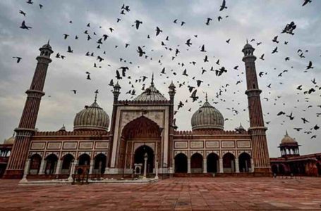 DCW issues notice to Jama Masjid for ban diktat, Bukhari says restrictions on impropriety, vulgarity