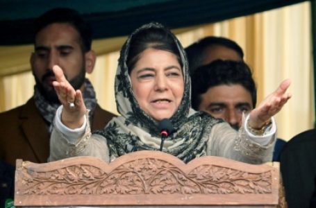 Will highlight attacks on dignity of J&K’s people, says Mehbooba Mufti