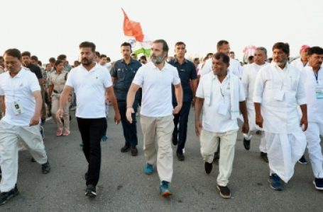 Bharat Jodo Yatra: Rahul Gandhi exits the land of Chhatrapati, to enter MP