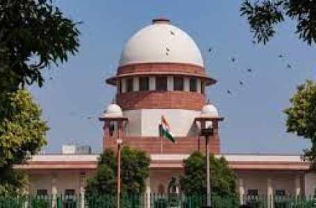 Delhi is gasping for breath: DDA prohibited from allotting lands in protected areas