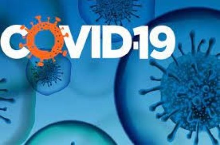 Covid virus can have lasting effects on nearly every organ for years: CDC