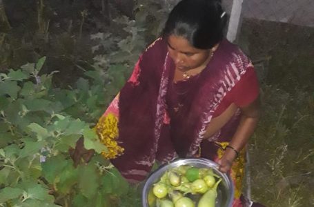 Organic Kitchen Gardens address serious problem of anemia and mal-nutrition
