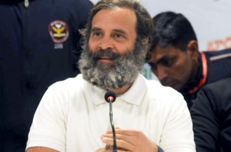 Rahul must get conviction stayed, challenge LS notification, say experts after disqualification