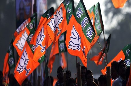 Karnataka BJP chief asks leaders to focus on ‘love jihad’, not road & sewage issues 