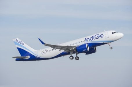 Drunk elderly Swede molests IndiGo hostess on Bangkok-Mumbai flight, nabbed