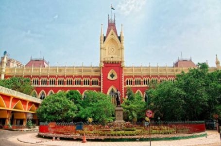 Forceful removal of innerwear of minor girls equivalent to rape: Calcutta HC