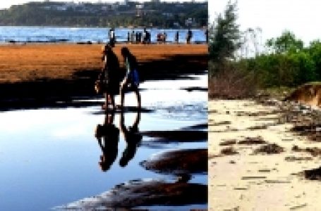 Coastal erosion in Goa a threat to sunshine state’s tourism economy