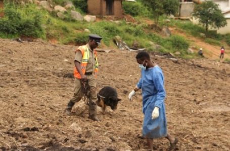 Cyclone Freddy deepens cholera risks in worst-hit countries: WHO