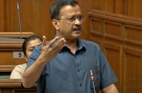 ‘Bunch of illiterate people from top to bottom’: Kejriwal on Delhi Budget row