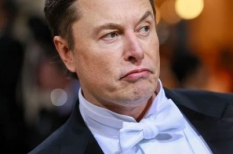 Musk says ‘sorry’ for Twitter taking up much space on phones