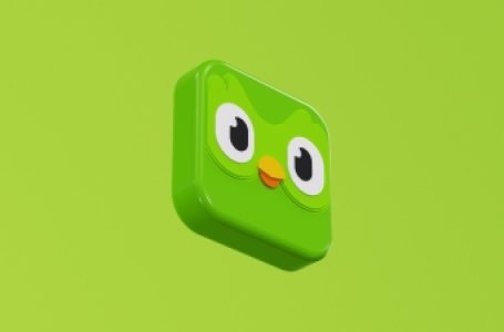 Duolingo wins Apple Design Award for innovation in design