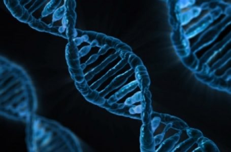 Genes for learning & memory are 650 mn years old