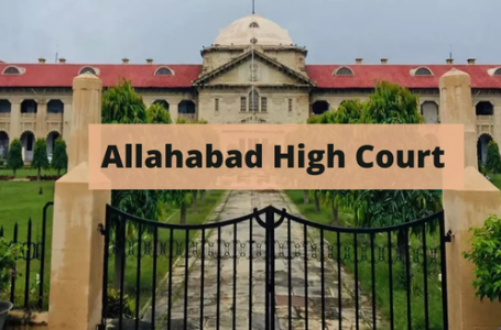 Marital rape not an ‘offence’ if wife is 18 or above: Allahabad HC