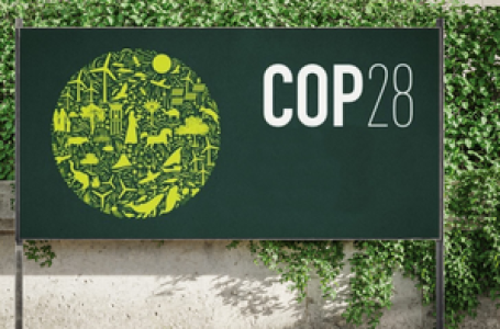 Over 120 countries back COP28 UAE Climate and Health Declaration