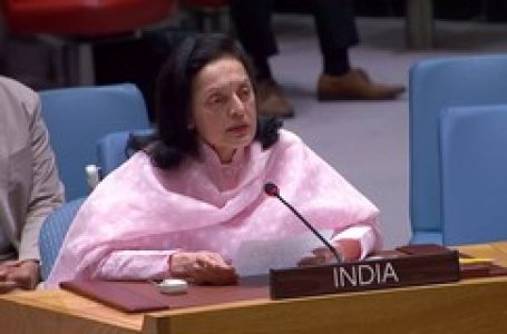 At UNGA, India condemns Hamas terrorism; large-scale civilian deaths in Israel retaliation