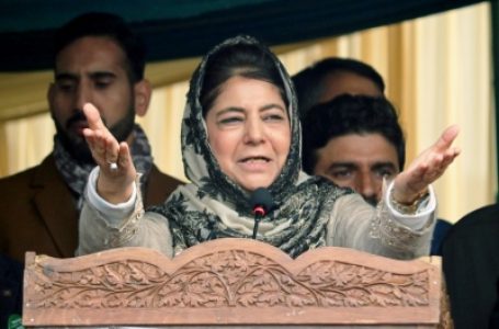 Mehbooba suspends PDP’s political activities for a week after SC verdict on Article 370