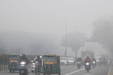 Dense fog & cold wave to continue for 5 days, says IMD