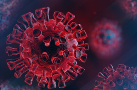 Covid mRNA vaccine may be used to fight lung, skin cancer