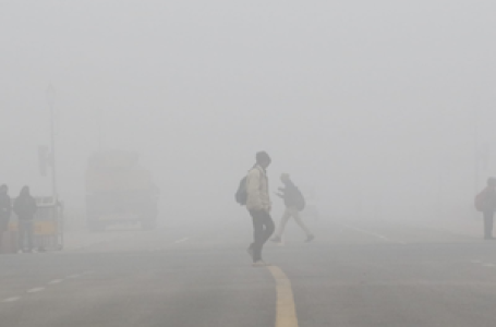Dense fog conditions likely to continue over North India for 4-5 days: IMD