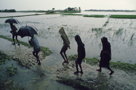 Study decodes how land conditions impact summer monsoons in Asia