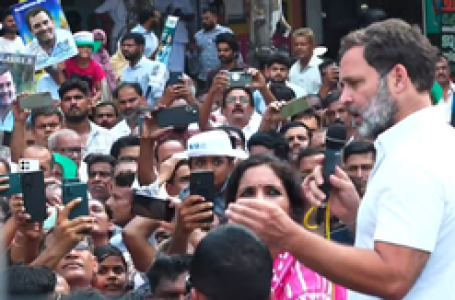 Congress trying to save Indian Constitution: Rahul Gandhi in Kerala roadshow