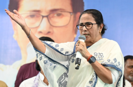 Drop in poll percentage in first 2 phases scared BJP: Mamata Banerjee