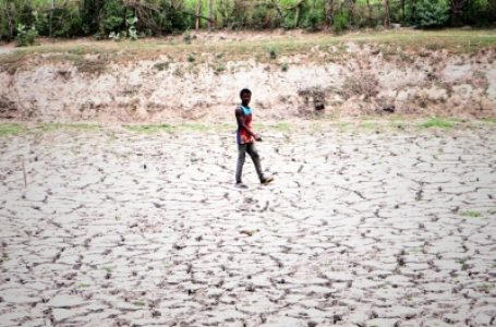 Just 55 pc water in reservoirs in TN’s drought-prone districts; farmers asked to switch crops