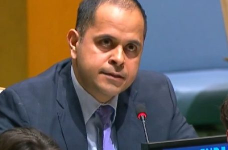Making UNGA more effective can’t be divorced from UNSC reforms: India