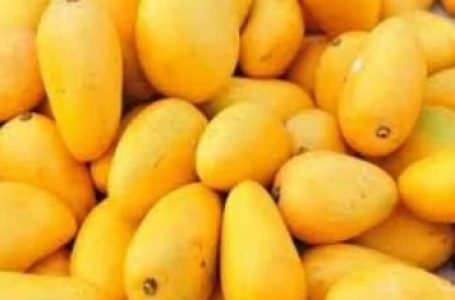 Food regulator cautions traders not to use calcium carbide for fruit ripening