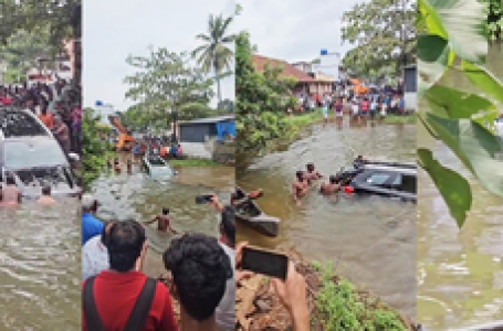 Google Maps turn awry, tourists land in Kerala pond