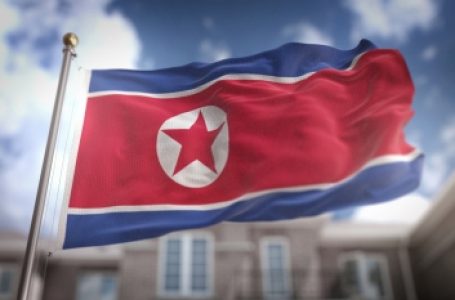 North Korea expresses full support for Palestinian UN membership