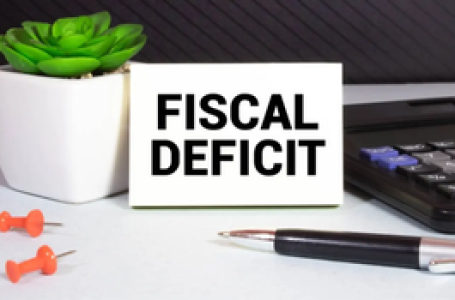 FM cuts fiscal deficit to 4.9 pc to keep economy on stable growth path