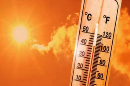 Global temperature surpasses 1.5 °C above pre-industrial level for 12 months: Copernicus