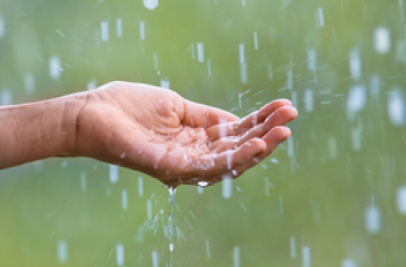 India likely to get above-normal rainfall in July as monsoon picks up pace: IMD