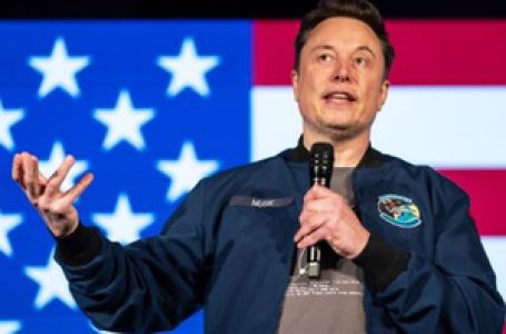 Absolutely false: Tesla chair denies report about replacing Musk as CEO