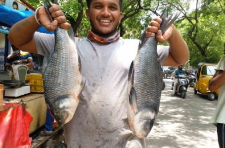 Drones to soon transport fish in difficult terrains: Centre