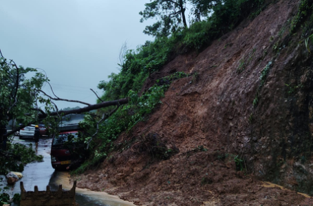 Northeast: 27 dead as rains, floods & waterlogging disrupt life