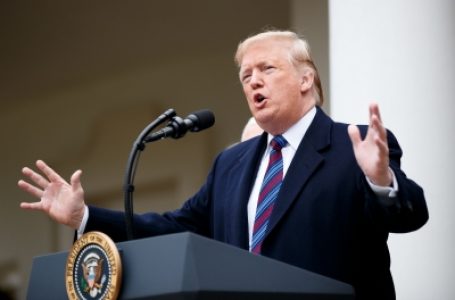 Russia, Ukraine to begin ceasefire talks ‘immediately’, says Trump