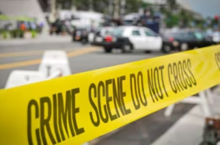 Two Israeli Embassy employees shot dead in Washington