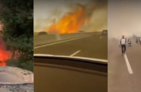 Wildfire rages across Israel, sparks national emergency as thousands flee