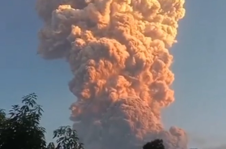 Air India flight from Delhi to Bali returns safely amid massive volcano eruption