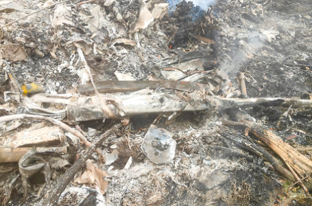 Civil Aviation Ministry issues strict instructions to DGCA to enforce chopper safety