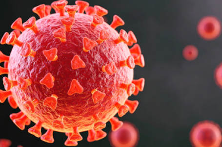 Covid-19 virus protein triggers immune attack on healthy cells: Study
