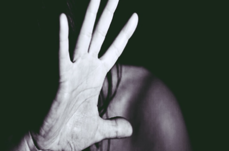 French tourist raped in Udaipur after cafe party, accused absconding