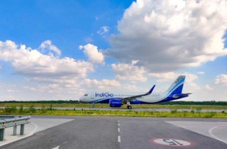 IndiGo signs partnership to expand long-haul flights to Europe, UK, North America