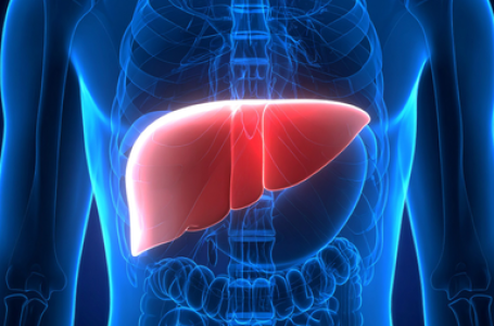 Study shows how plastic particles in food, beverages can harm your liver